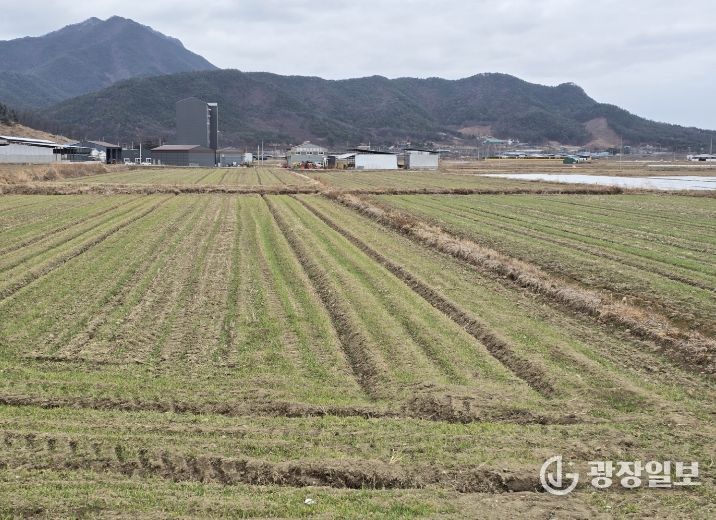 봄철 맥류 관리 ‘골든타임’…구미시, 현장 기술지원 강화배수로