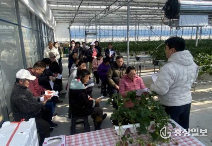진도군정신건강복지센터, 달콤한 딸기농장 체험으로 마음까지 힐링