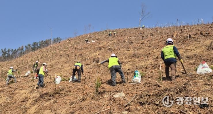 창원특례시, 조림‧숲가꾸기 사업으로 건강한 산림 조성