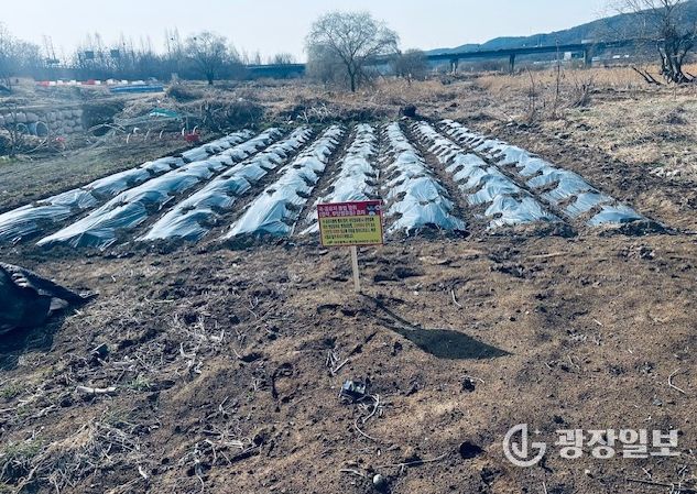 대구 북구, 금호강 불법행위 행정대집행 실시