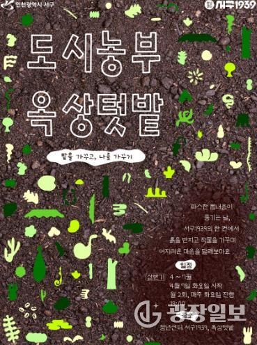 인천 서구, 청년들의 ‘옥상텃밭’ 상반기 참여자 모집... 함께 심고 함께 수확하는 기쁨