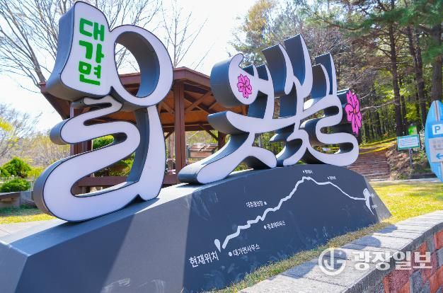 고성군 대가십리벚꽃길, 올해도 경관조명으로 야경 만끽하세요