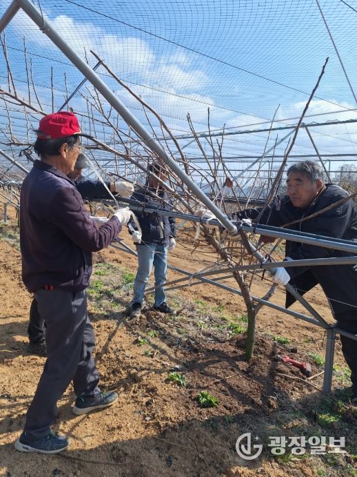 맞춤형 영농지원 본격화