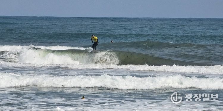 지난해 메이어스컵 서핑 챔피언십 대회