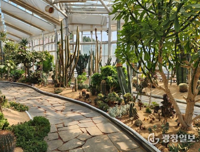 식생 기반 정비 실시