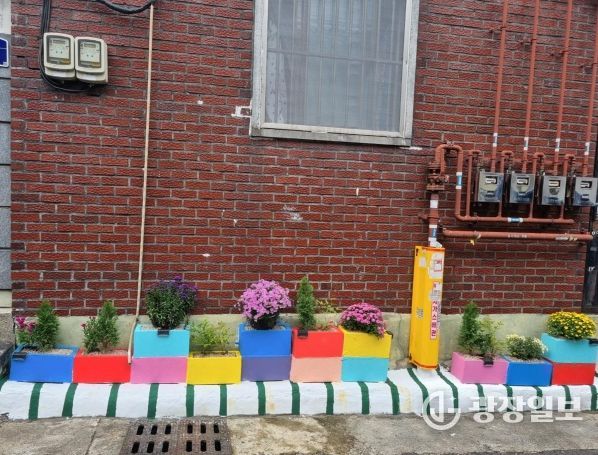 2025년 활동 사진(달서구 두류1 2동 화단 조성 후)