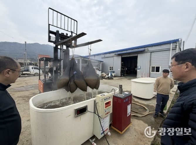 볍씨 종자 10kg 단위 10포대를 온탕소독기에 담가 소독하고 있다.