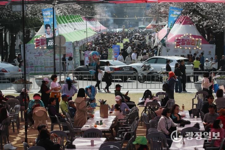 주말 진해군항제, 벚꽃 만개 아래 역대급 인파 기록