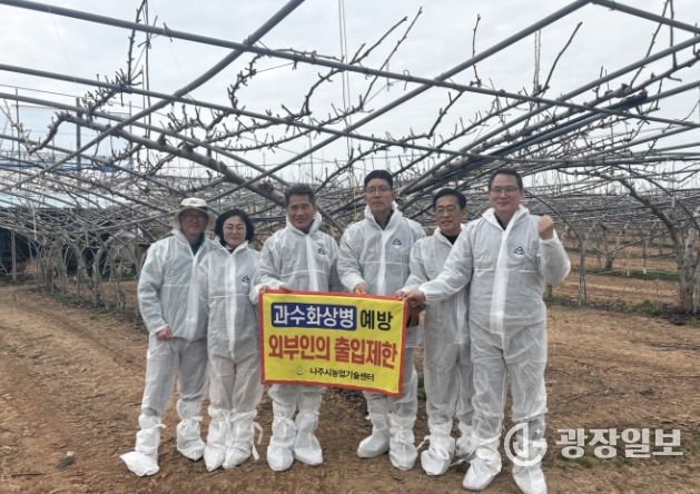 지난 24일 전남도 농축산식품국, 식량원예과, 아열대농업팀, 나주시 배원예유통과, 기술지원과 관계자들이 배 생육 상황 점검과 과수화상병 대응 추진 상황을 공유했다. (사진 제공-나주시)