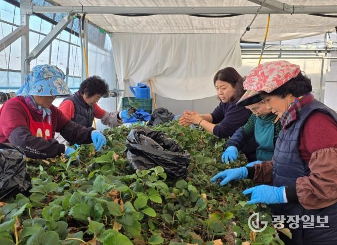 여성농업인 활동 사진