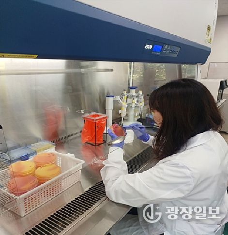 학교급식 안전성 검사