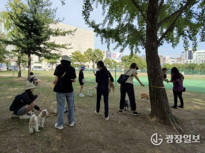 반려견과 산책하는 과천시민들 모습