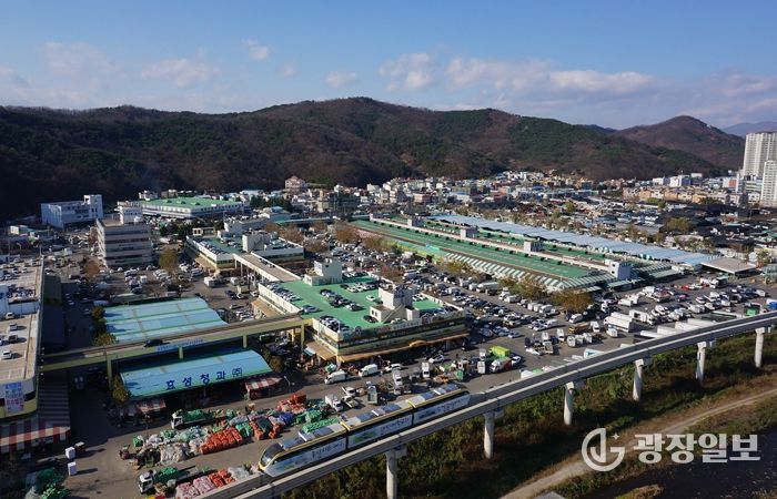 대구농수산물유통관리공사,‘온라인 물류 혁신’주도…온라인 도매시장 통합물류센터 시범사업 쾌거