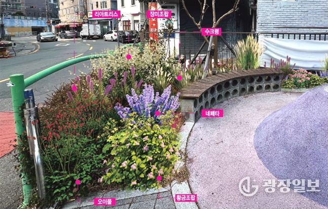 부산 중구, ‘정원속의 도시 부산’실현을 위한 생활 속 정원 조성 본격 추진