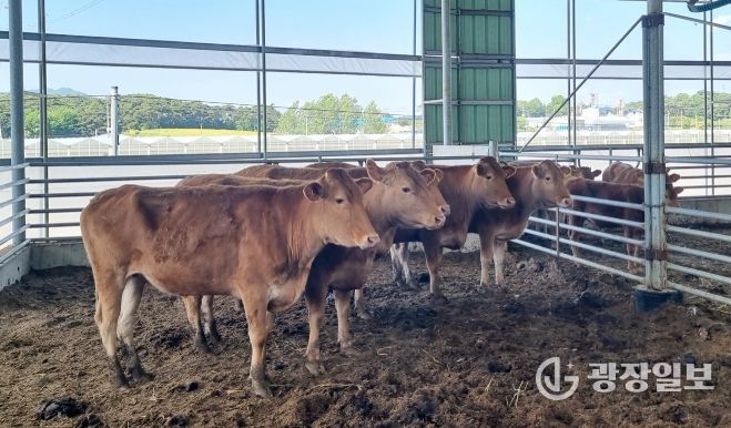 여름철 재해 대비 축사 시설 선제 점검