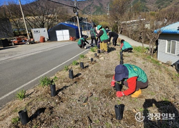 밀양시새마을회와 산내면 동명마을 주민들이 탄소중립 실천을 위해 묘목을 심고 있다