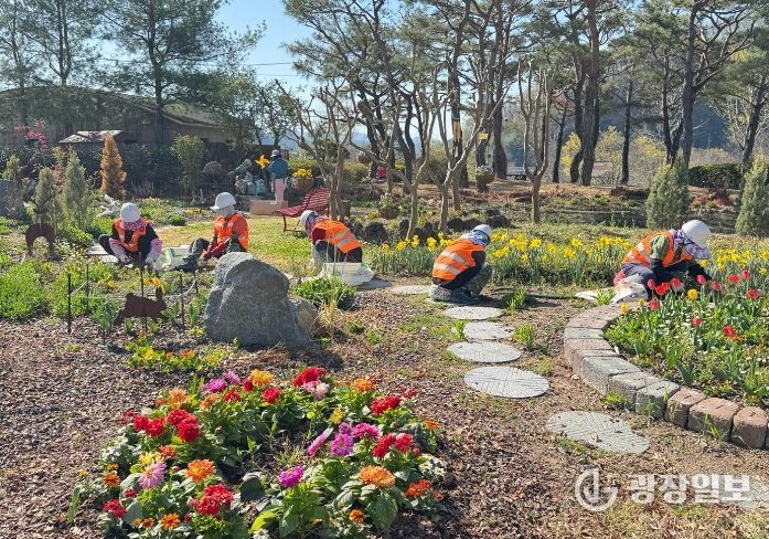 합천군, 봄맞이 녹지공간 정비‘박차’…도심 곳곳 생기 더한다