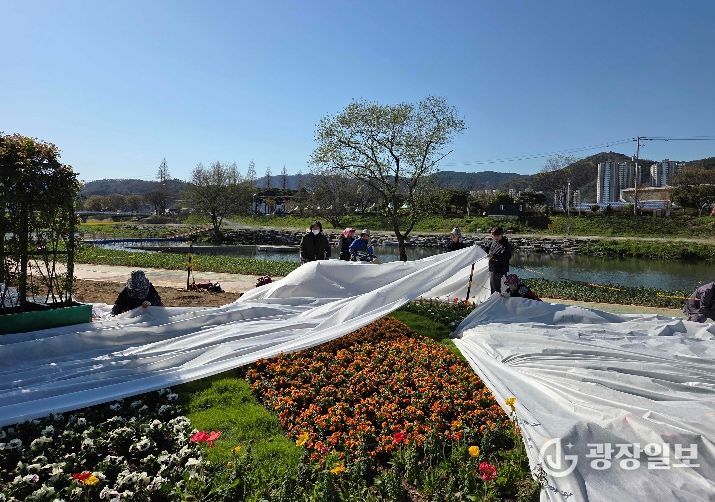 축제 대비 현장 관리 모습