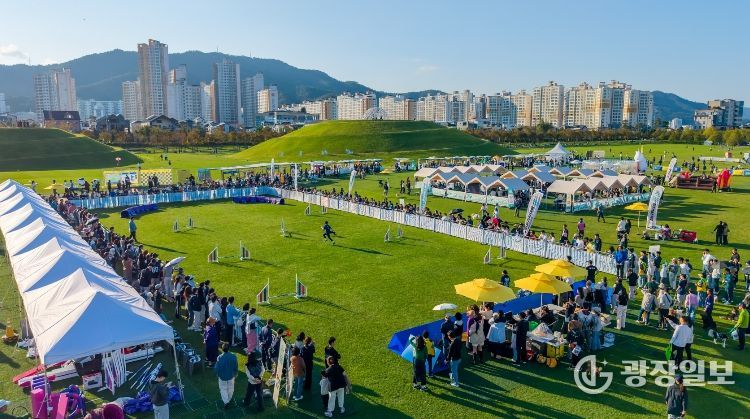 지난해 10월 오천그린광장에서 열린 ‘2025년 반려동물 문화한마당 행사'