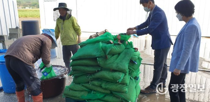강진군 농업기술센터 관계자들이 볍씨 파종현장에서 농가를 지도하고 있다