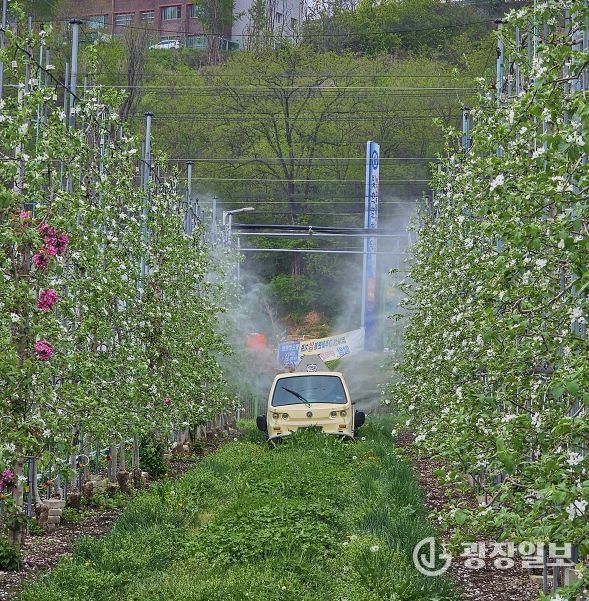 안동시, 과수화상병 ‘개화기 적기 방제’ 총력