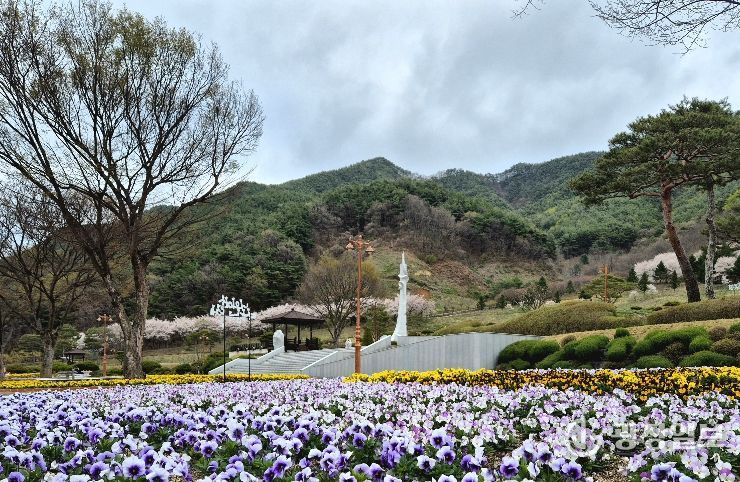 거창사건추모공원, 봄꽃으로 물들다