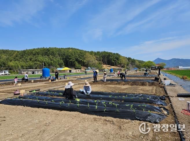 고성군, 주말농장 개장! “농업 체험하며 힐링”