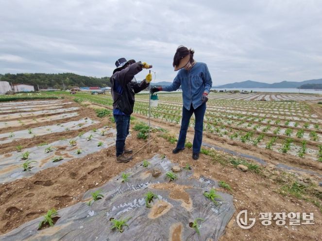 돌발해충(열대거세미나방) 조기 예찰 방제 체계 구축