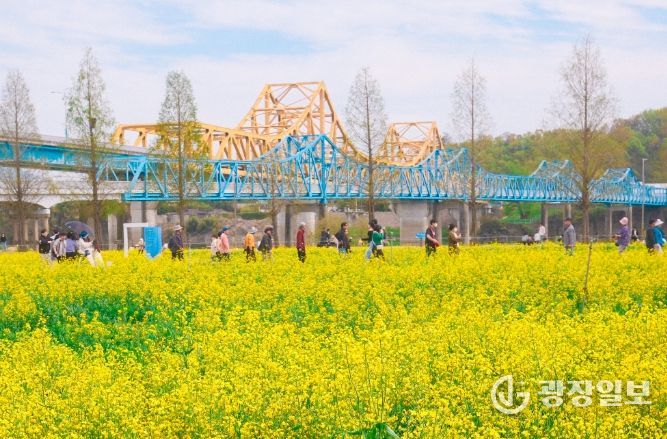 1. 남지철교와 어우러진 유채단지