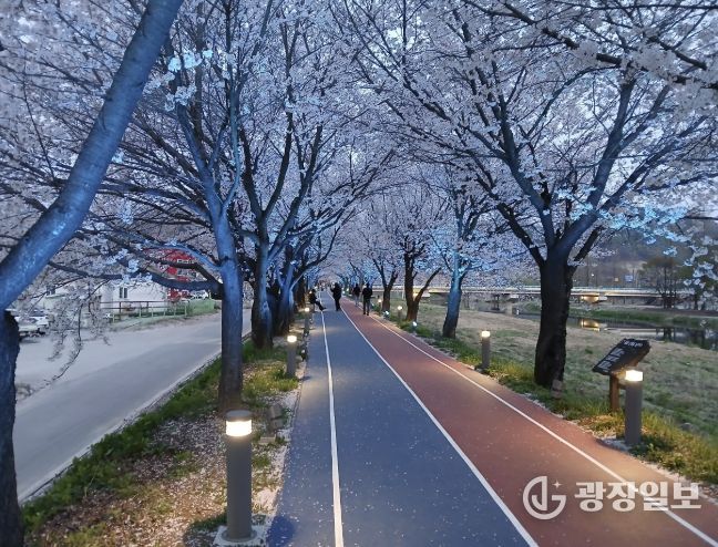 응천 십리벚꽃길 관광명소화 사업구간.