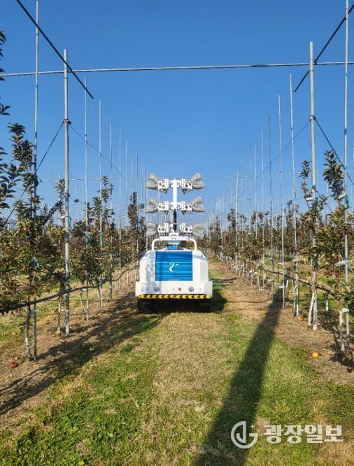 장수군, AI 기반 기상예측 기술로 사과 재배 농가 경쟁력 강화